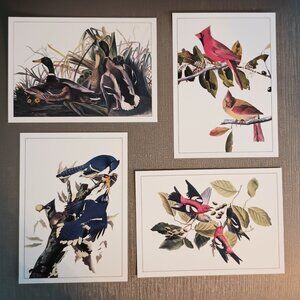 Vintage John Jay Audubon Lithograph 5x7 cards
